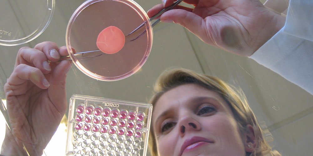 La creación de piel reconstruida por parte de L’Oréal Paris en sus centros de evaluación predictiva Episkin hace posible el cumplimiento ético de la marca de no testar con animales.